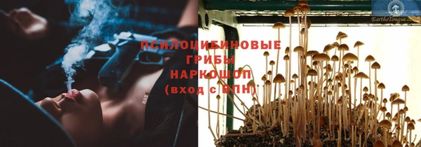 амф Белоозёрский