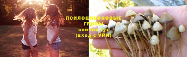 амф Белоозёрский