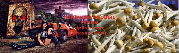 а пвп мука Беломорск