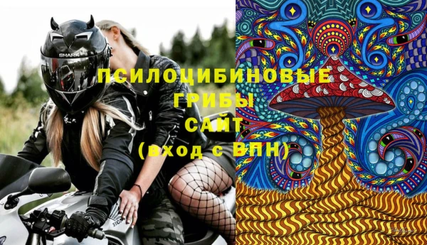 соль ск Белокуриха