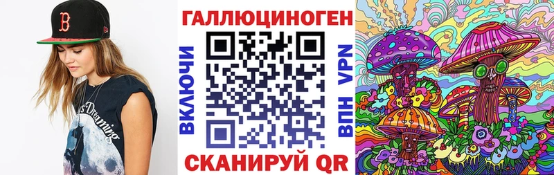Псилоцибиновые грибы Cubensis  даркнет состав  Буйнакск 