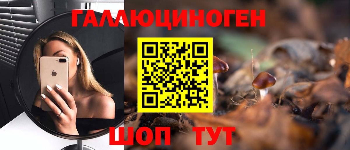 Псилоцибиновые грибы мухоморы  Вход с VPN  Буйнакск  как найти наркотики  Псилоцибиновые грибы Psilocybe 