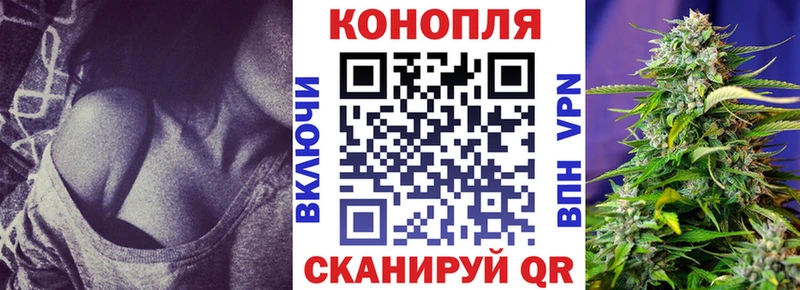 Шишки марихуана сатива  Буйнакск 